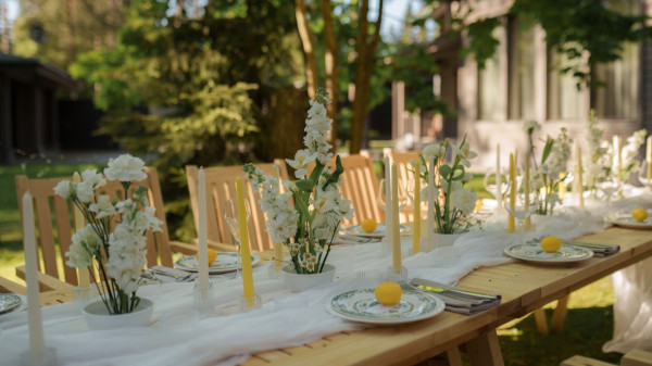 Проведение свадеб и мероприятий