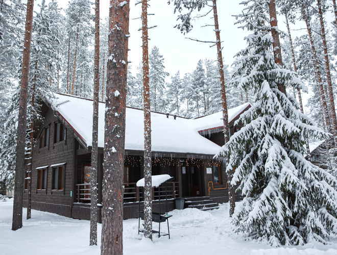 Арендовать Царский Люкc коттедж в Петербурге
