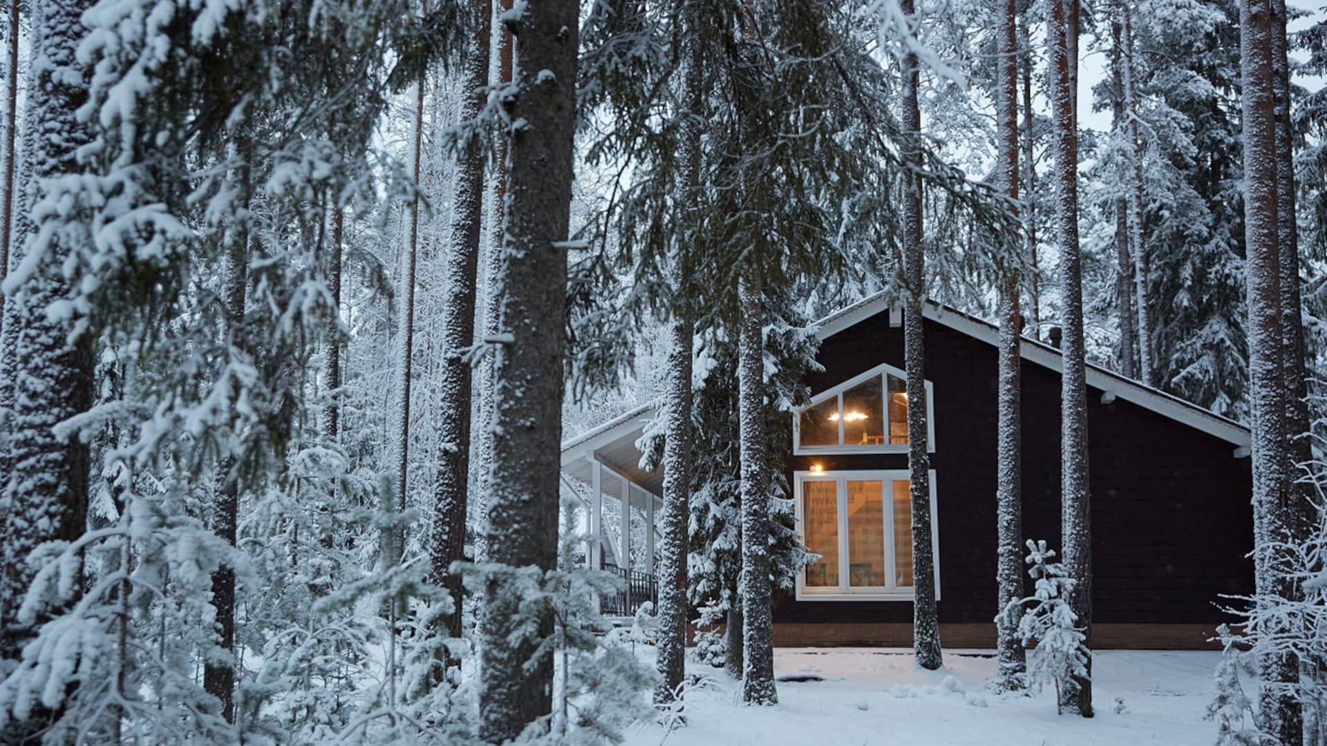 Фото «Новый Год и Рождественские праздники»